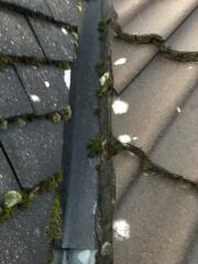 Advice needed regarding rood leak
