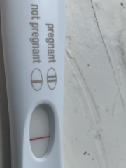 Am I pregnant?