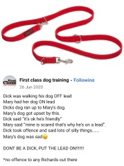 Apparently you "shouldn't walk a dog if you don't want other dogs to say hello"