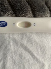 Line eyes at 14dpo