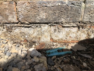 RISING DAMP BACK? 