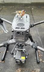 Ukraine Invasion: Part 39