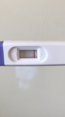 my pregnancy test