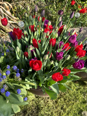 Autistic women assemble!