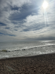 Autistic women assemble!