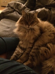 Autistic women assemble!