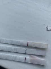 How far along am I?
