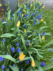 Autistic women assemble!