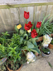Show Us Your Pictures 6
