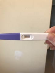 Fmu today pregnancy test ? What do you think ?