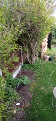 Ideas for what to put here please!