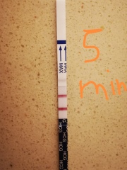 Please calm me down - test line pregnancy test