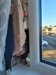 Replacement windows damage