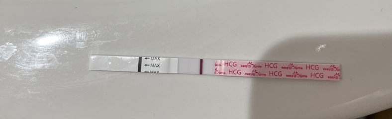 Ovulation after pregnancy loss