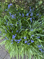 Autistic women assemble!