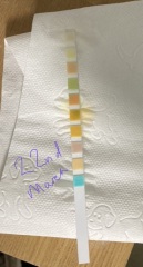 Help reading urine test strip
