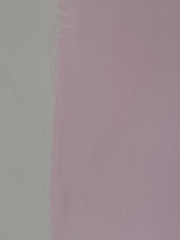 A pale pink wall paint that isn’t too blue? 🌸(With photos)