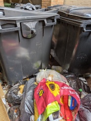 Rat Infestation has cost us thousands