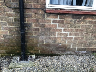 Rising Damp