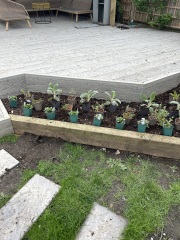 Planting up new beds…. Does this look right?