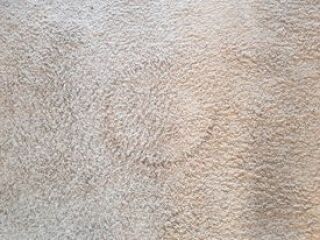 Carpet 'Crop' Circles?? Any ideas please as its freaking me out? 