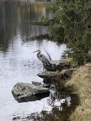 Come and tell me your dull and unexciting news 25: Calmly through the day 