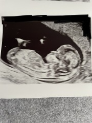 Gender guesses? Nub theory/ramzi  