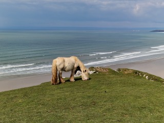 Thread 45 GCSE Covid Cohort - Bunnies bouncing into Spring