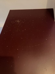 What is eating my utility room? Woodlice? (With pics)