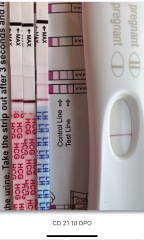 Can’t trust wandfo HCG