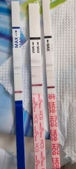 Bfp?