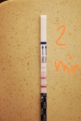 Please calm me down - test line pregnancy test