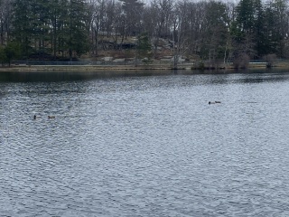 Come and tell me your dull and unexciting news 25: Calmly through the day 