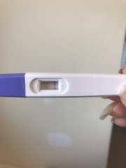 my pregnancy test