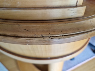 Is this woodworm or something else?