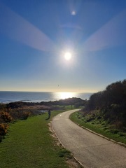 Autistic women assemble!