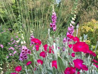 Thread 6 - TalkExiles: "Yup, still round."