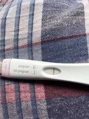 Faint positive, evap, or no line at all? 😂