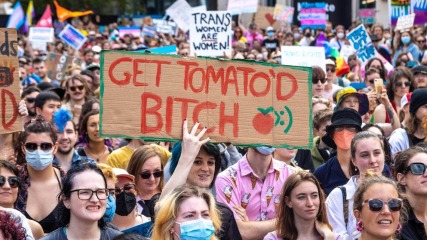 Can MNHQ set up a new discussion category called Feminism: sex & gender discussion (inclusive, non-GC)