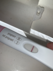 Early pregnancy?