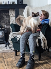 Adopting a rescue ragdoll