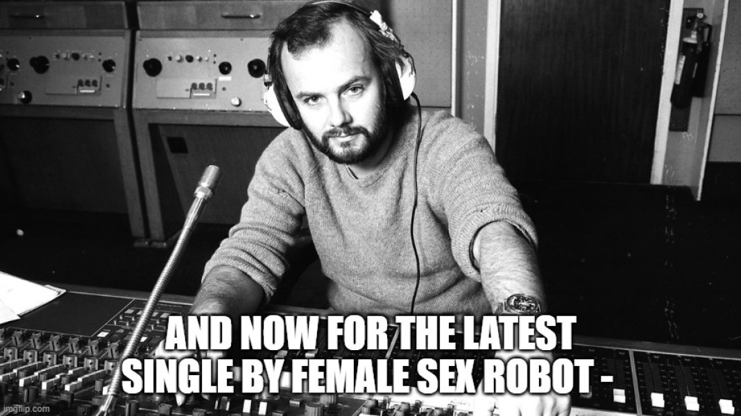 Female sex robot?