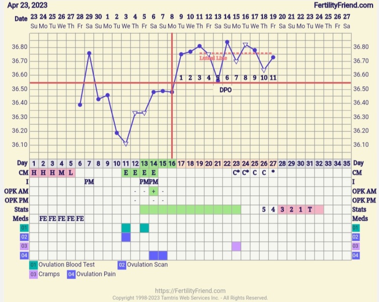 TTC May 2023 💖✨ previous MC March 2023