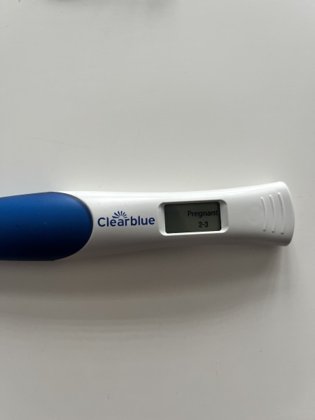 Due January 2024 🎉