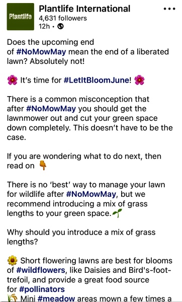 No mow May - is it just me?