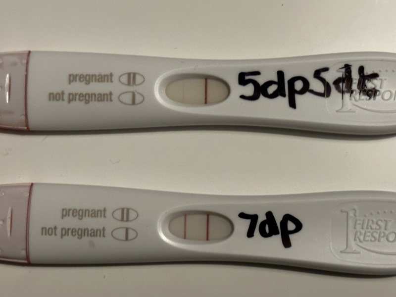 IVF/ICSI/FET May 2023