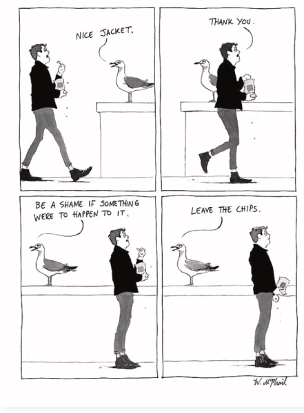 Why are seagulls such a pain?! 