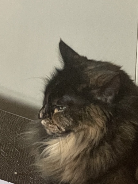 Cancer Support thread 86 - Stay Positive 