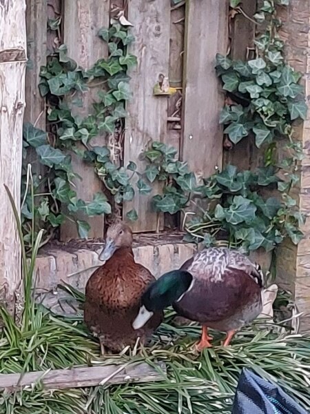 Ukraine Invasion: Part 39