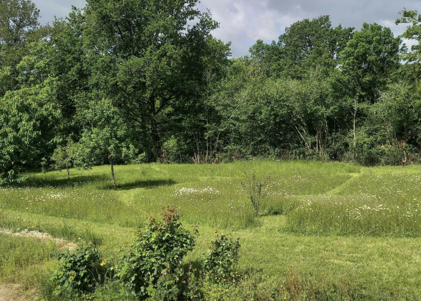 Are you doing 'no mow may' ?